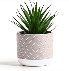 Kurrajong Farmhouse 8" x 4.5" Beautiful Fake Plant | Artificial Potted Plant Decor | Faux Artificial Succulent Plants Potted for Home Decor Indoor
