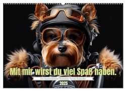 Der humoristische Yorkshire Terrier Kalender (Wandkalender 2025 DIN A2 quer), CALVENDO Monatskalender: Das ideale Geschenk für Yorkshire Terrier ... um den Hundebesitzer glücklich zu machen.