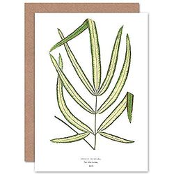 Wee Blue Coo Leaf Pteris Cretica Greeting Card With Envelope Inside Premium Quality