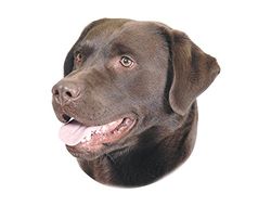 Nobby Autocollant Motif Labrador