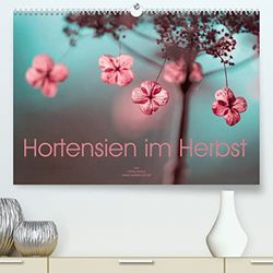 Hortensien im Herbst (hochwertiger Premium Wandkalender 2024 DIN A2 quer), Kunstdruck in Hochglanz: Verblühte Details erstrahlen im Licht