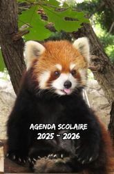 Agenda Scolaire 2025 2026 Couverture Panda Roux: Organisateur Journalier De Septembre à Juillet, Planificateur Pour étudiants (Primaire, collège, Lycée, Université)