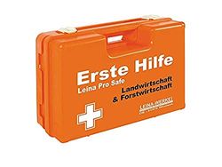 LEINA-WERKE Pro Safe Chemie, Orange fluorescent, 1