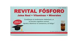 REVITAL - REVITAL JALEA+FOSFORO 20 AMP