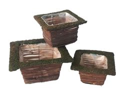 Comarco Sa Set 3 cestini quadrati in rattan con bordo muschio naturale - P 17x17x9 cm - M 19x19x11 cm - G 24x24x12 cm