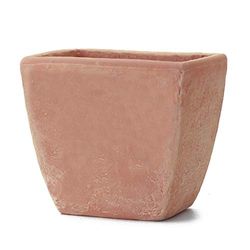 VASI IN TERRACOTTA (2 PEZZI) + SOTTOVASI IN TERRACOTTA (2 PEZZI), VASO: LUNGHEZZA CM. 25, ALTEZZA CM. 21, PROFONDITA' CM. 18. FIORIERA IN COTTO PIANTE GRASSE SUCCULENTE