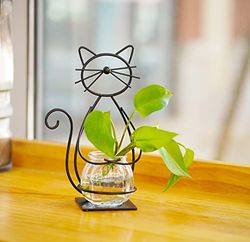 Joyathome Skrivbord glasplanterare vashållare, metall katt växt terrariestativ för växter kreativa dekorationer för hem uteplats gräsmatta trädgård
