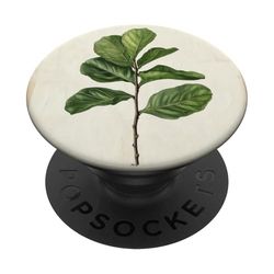 Planta de ilustración científica vintage de higuera de hoja de violín PopSockets PopGrip Adhesivo