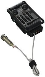Fishman Prefix Plus-T smal