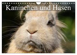 Kaninchen und Hasen (Wandkalender 2025 DIN A4 quer), CALVENDO Monatskalender: Niedliche Gesellen im flauschigen Fell