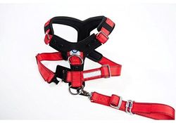 Kleinmetall Allsafe Comfort - Cintura di Sicurezza per Cani, Taglia L