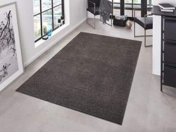 HANSE Home Pure Tapis de Salon, à Poils Courts, Robuste, Couleur Unie, Moderne, pour Salle à Manger, Salon, Chambre d'enfant, Couloir, Chambre à Coucher, Cuisine, Anthracite, 140 x 200 cm