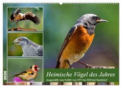 Heimische Vögel des Jahres (Wandkalender 2026 DIN A2 quer), CALVENDO Monatskalender: Steckbriefe ab 1971 vom NABU gewählter Vögel