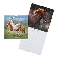 DRAEGER PARIS | Decorative Wall Calendar Horses 2023 to Hang 29 x 29 cm | 16 Months September 22 to Dec 23 | 7 Languages | Office, Kitchen, Home Calendar | Vegetable Inks | FSC® Certified Paper