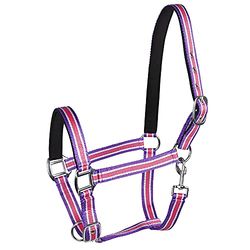 PFIFF Kunststoffhalfter, unterlegt, pink-weiàŸ-lila, Cob/Vollblut