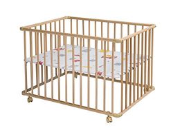 Box Basic natuur geolied, folie monster