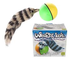 D.Y.Toy 8038H - Weazelball, motorball + łasica