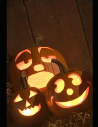 Halloween Babies