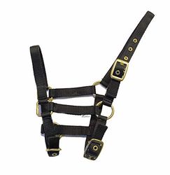 Rhinegold - Colletto in Nylon, Colore: Nero