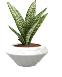 Kloris Vaso per Piante Ciotola da Giardino polietilene Diametro 60 cm Altezza 27 cm. Colore Bianco rigatura in Rilievo. Alta qualità Made in Italy