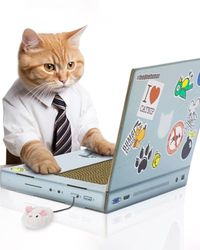 Suck UK Cat Tiragraffi per Gatti-Laptop, Carta, Taglia Unica
