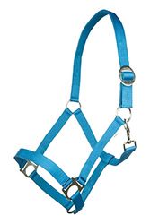 HKM 544137 Licol Stars Economy Softice