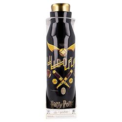 Stor Harry Potter thermosfles van roestvrij staal, herbruikbaar, 580 ml