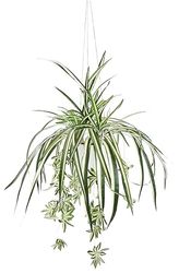 Pianta artificiale con fioriera sospesa, pianta di seta, pianta verde clorophytum, pianta da interno, pianta di ragno, fiore artificiale, pianta di serpente, giglio d'acqua, pianta sospesa, pianta in