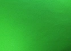 Clairefontaine - Ref 455350C - Recycled Coloured Paper (Pack of 25 Sheets) - 50 x 65cm in Size, 120gsm Recycled Paper, Acid Free, Deep-Dyed Colour - Empire Green