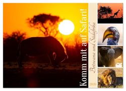 Komm mit auf Safari! Botswana und Südafrika (Wandkalender 2026 DIN A2 quer), CALVENDO Monatskalender: Safari-Feeling fürs ganze Jahr!