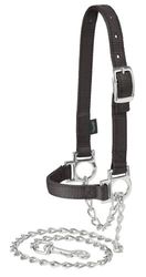 Weaver - Halter de ovelha ajustável de nylon com corrente, 35-8110-BK, preto
