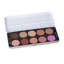 Stargazer Palette de Blush