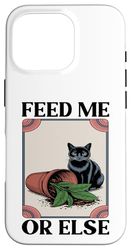 Feed Me Or Else Plante pour Chat Chaton Plantes Amoureux des chats Coque pour iPhone 16 Pro