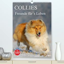 Collies - Freunde für´s Leben (hochwertiger Premium Wandkalender 2024 DIN A2 hoch), Kunstdruck in Hochglanz: Eine der schönsten Hunderassen auf 13 zauberhaften Fotos