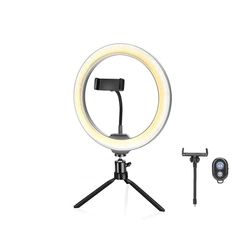 10 inch (25,4 cm) 12 W lichtring voor mobiele telefoons, dimbaar licht met 3 effecten, inclusief statief, afstandsbediening en microfoon. Ideaal voor je opnames.