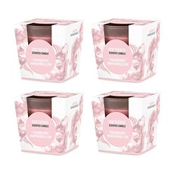 pajoma® Geurkaars in gesatineerd glas | Brandduur: 25 uur, in luxe geschenkverpakking | Premium kwaliteit (Cranberry Marshmallow, 4)