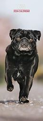 Pug Slim 2024 Calendar