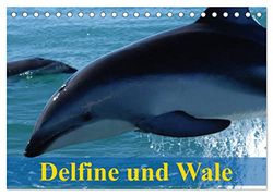 Delfine und Wale (Tischkalender 2024 DIN A5 quer), CALVENDO Monatskalender: Kluge Köpfe und Giganten der Meere