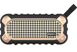 Energizer BTS-106 Speaker Bluetooth portatile con power bank, microfono per chiamate in vivavoce, modalità FM, compatibile con smartphone/tablet e dispositivi MP3, Oro