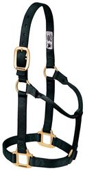 Weaver Leather Licol de Cheval Original Non réglable en Nylon Noir, sevrage/Poney