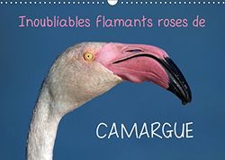 Inoubliables flamants roses de camargue (calendrier mural 2019 din a3 horizontal) - les flamants ros (Calvendo Animaux)