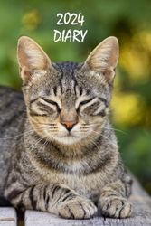 2024 Diary: Cat Lover's Planner, Organiser and Journal, Standard Size: Main UK , Canadian and US Holidays Tabby Cat Edition