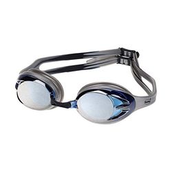 Fashy Power Mirror Googles - Silver, Large