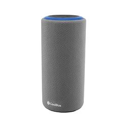 CoolBox Drop G232 - Altoparlante Bluetooth Potente 7 W RMS x 2, riproduzione Bluetooth 5.3 + cavo ausiliario incluso + lettore microSD, resistenza all'acqua IPX6, funzione vivavoce. Colore grigio