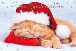 bsb Greeting Card Christmas Card Advent Calendar "Sleeping Cat with Hat"
