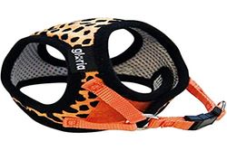 GLORIA Harnais/Robe Leopard