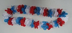 IDM Fan-hulakette, Catenella per Hula Unisex Adulto, Blu/Bianco/Rosso, Taglia Unica
