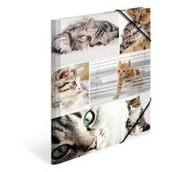 HERMA 19212 Verzamelmap A4 dieren katten kinderen hoekspanner-map van karton met interne print en elastiek, stabiele kartonnen omslagmap voor jongens en meisjes