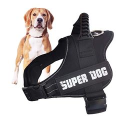 Edipets, Arnes Perro, Antitirones, para Perro Grande Mediano y Pequeño, Homologado, Reflectante, Transpirable, Chaleco Acolchado Ajustable para Adiestramiento (XXL, Negro)