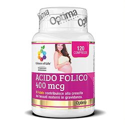 Acide folique 400 mcg - Supplément de soutien à la croissance des tissus maternels Sans gluten Vegan Pregnancy, 120 Comprimés